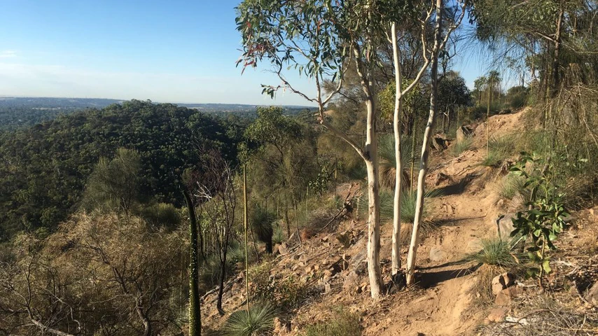 Anstey Hill Recreation Park