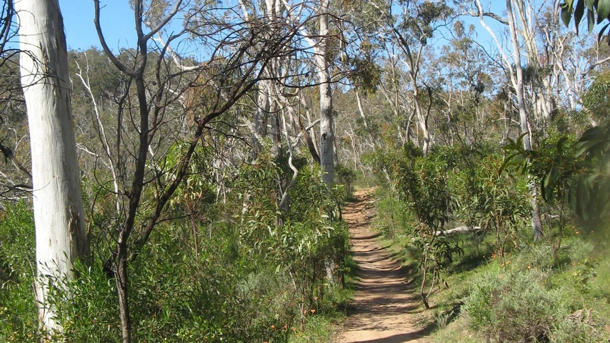 Belair National Park
